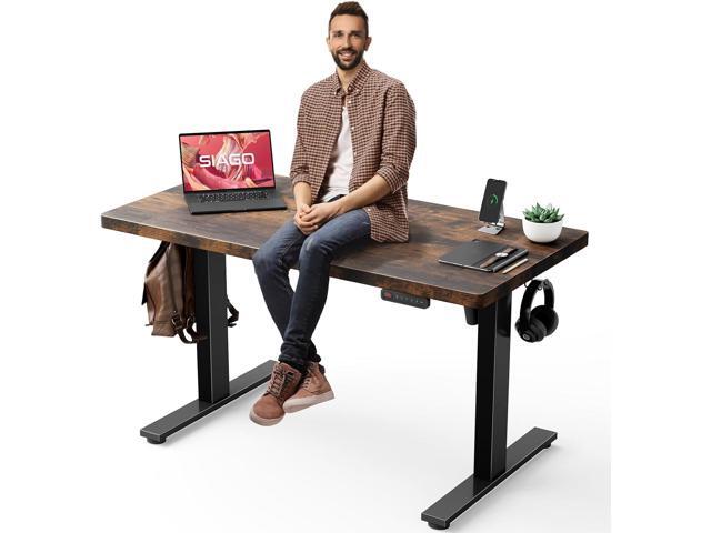 Electric Standing Desk Adjustable - 48 x 24 Inch Sit Stand up Desk with Cable Management - 3 Memory Preset Adjustable Height Desk Computer Home...
