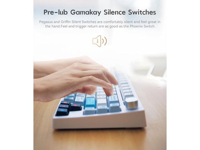 GK GAMAKAY TK75 75% Hot Swap RGB Bluetooth 5.0/2.4GHz Wireless/USB-C Wired Mechanical Keyboard with Knob Control, PBT Cherry Profile Keycaps Gaming...