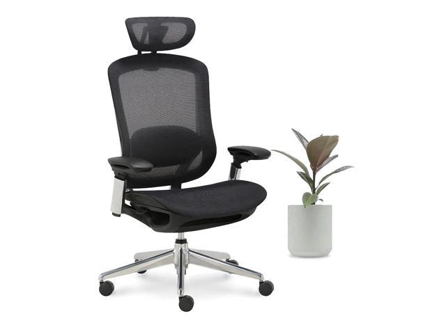 EFFYDESK Celini - Fully Adjustable Premium Mesh Ergonomic Office Chair (Black)