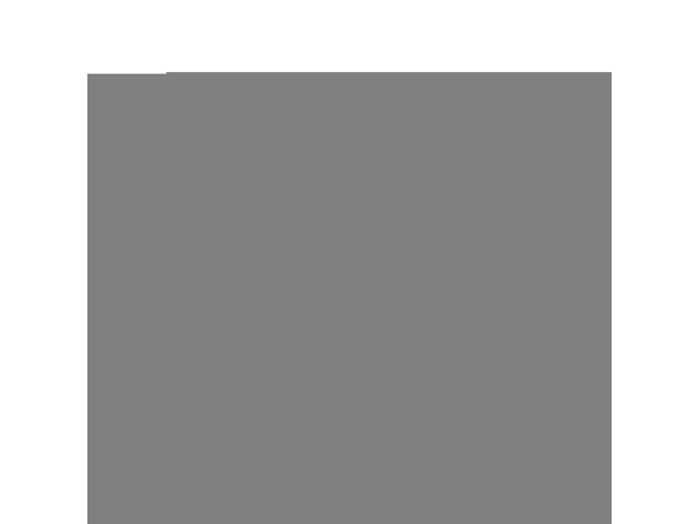 WELLINGTON ROUND IRON FIRE PIT -40,000 BTU,TANK OUTSIDE