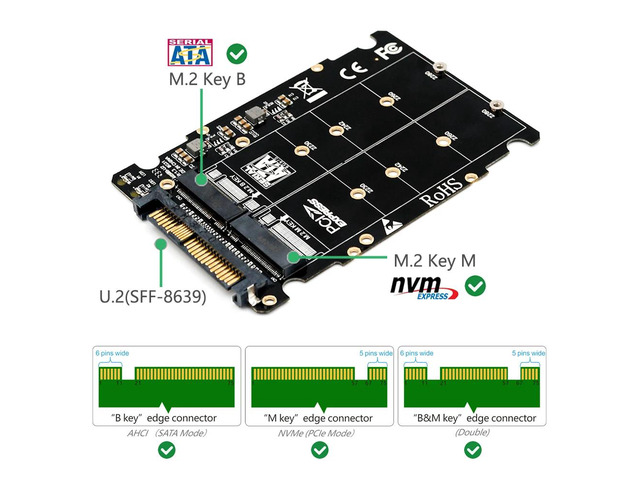 M.2 SSD to U.2 Adapter 2in1 M.2 NVMe and SATA-Bus NGFF SSD to PCI-e U.2 SFF-8639 Adapter PCIe M2 Converter for Desktop Computers