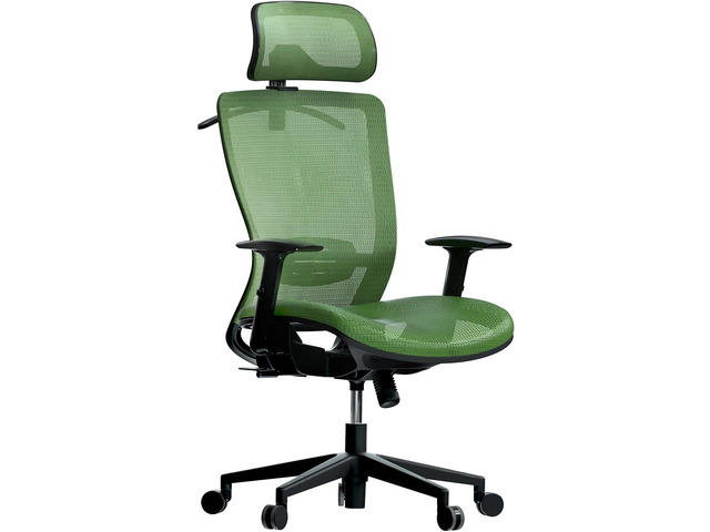 FLEXISPOT Office Chair Home Office Desk Chairs with Wheels Computer Chair with Lumbar Support Swivel Headrest Green, Welcome to consult