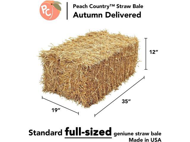 Peach Country Real Full Size Straw Bale for: Autumn Fall Decorations, Bedding, Over Seeding- 35' x 19' 12'