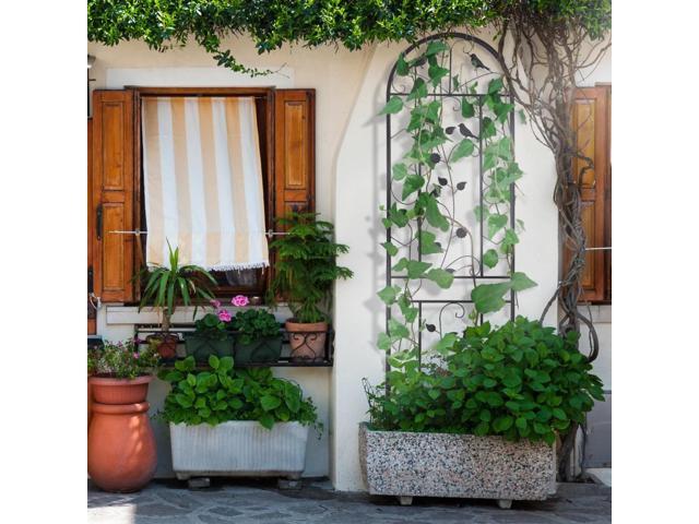 2PCS Black Rustproof Plant Trellis Decorative Metal Garden Fence Support for Outdoor Garden Potted Climbing Vines Flowers Vegetable