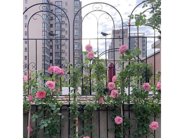 2PCS Black Rustproof Plant Trellis Decorative Metal Garden Fence Support for Outdoor Garden Potted Climbing Vines Flowers Vegetable