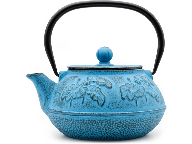 Cast Iron Tetsubin Stovetop Teakettle Teapot with Mesh Loose-Leaf Filter
