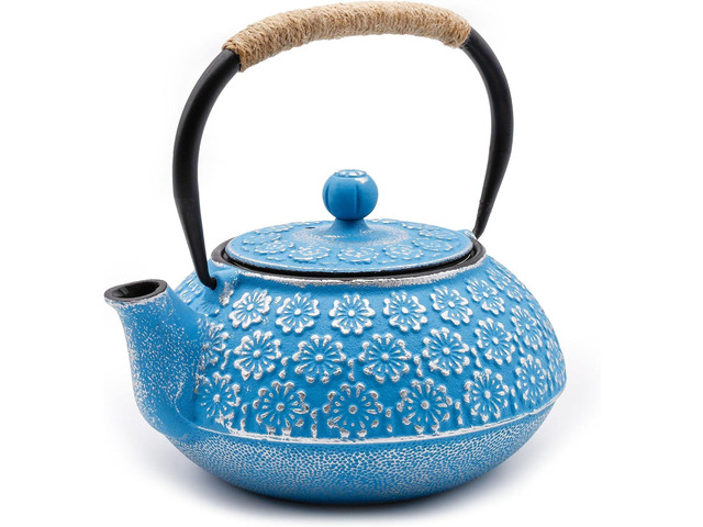 Traditional Japanese Cast Iron Tetsubin Stovetop Teakettle