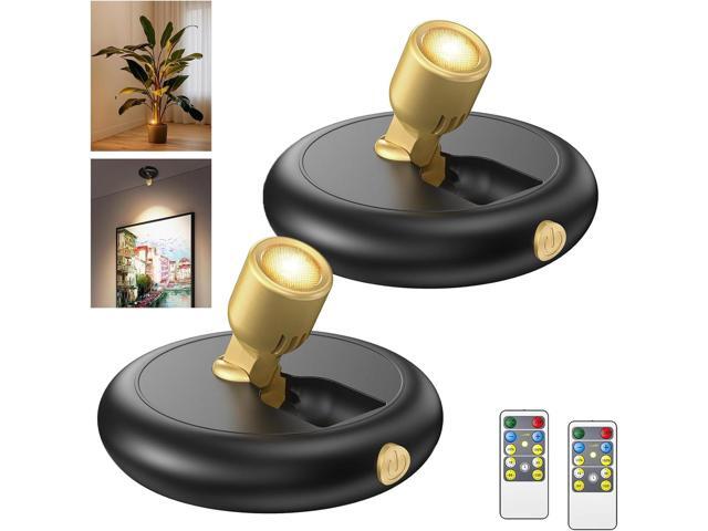 Indoor Plant Spotlight Battery Operated