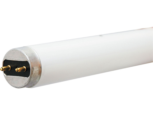 GE Lighting 15986 6-Watt 295-Lumen 9-Inch T5 Fluorescent Light Bulb, Cool White