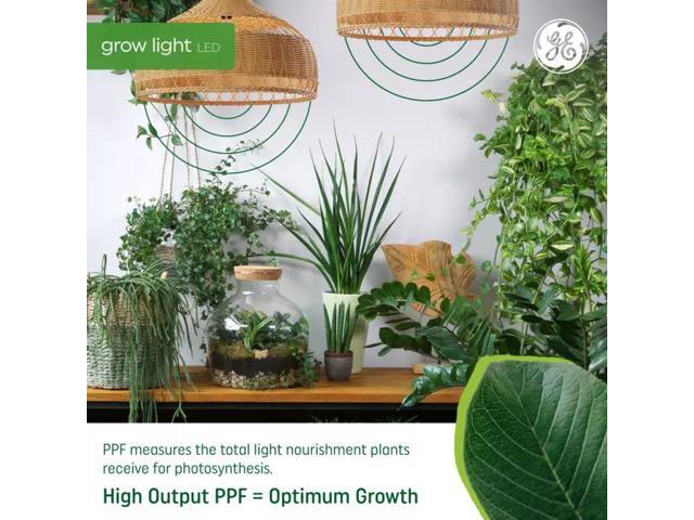 (case of 6) GE LED Grow Light for Indoor Plants, 22 inch T5, 11 watts, 800 lumens, Advanced red-light Spectrum for Flowers & Fruit, High Output 20...