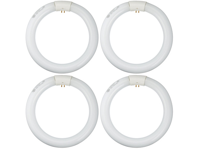 GE Lighting 33774 Circular Fluorescent Cool White 8-Inch Diameter Circline Fluor