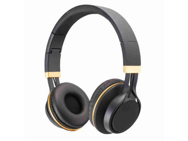 Black Diamond Pro Studio Headphones