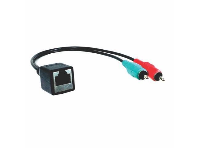 RJ45 (female) to Dual RCA (male) Adapter Cable for AXIA