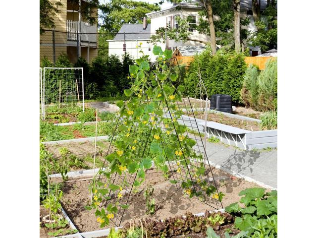 SlickBlue 2 Pieces Fold-able A-Frame Trellis Plant Supports with Twist Ties