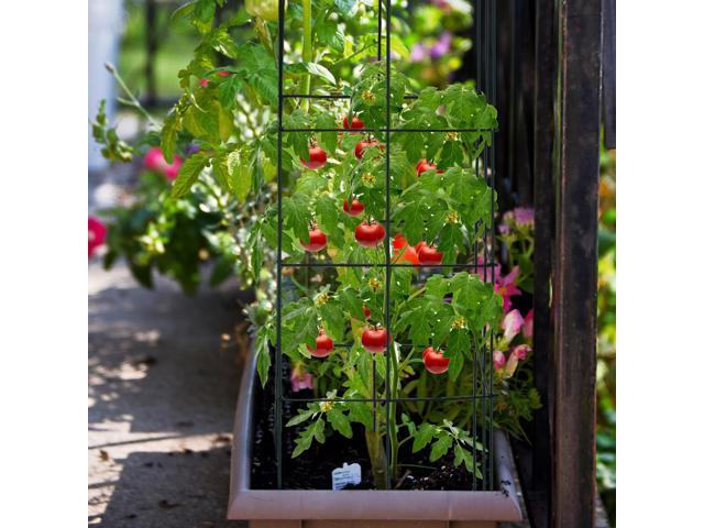 SlickBlue 4 Pack Garden Trellis for Climbing Plants for Flower Vegetable