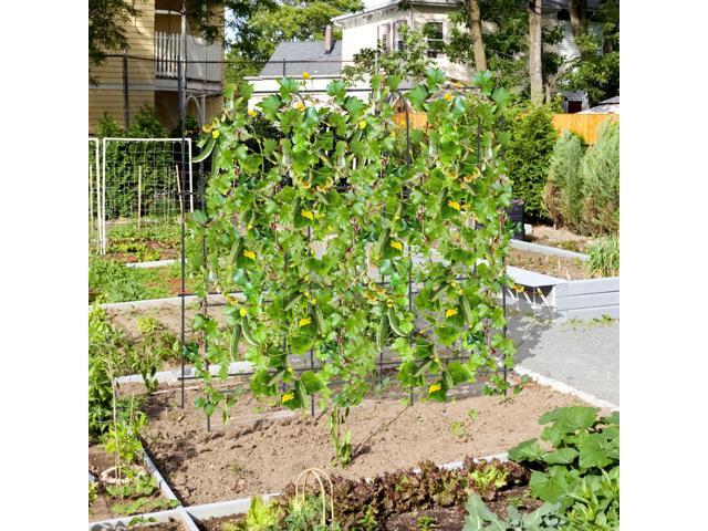 SlickBlue 71 x 71 Inch U-Shaped Tall Garden Arched Trellis for Climbing Plants