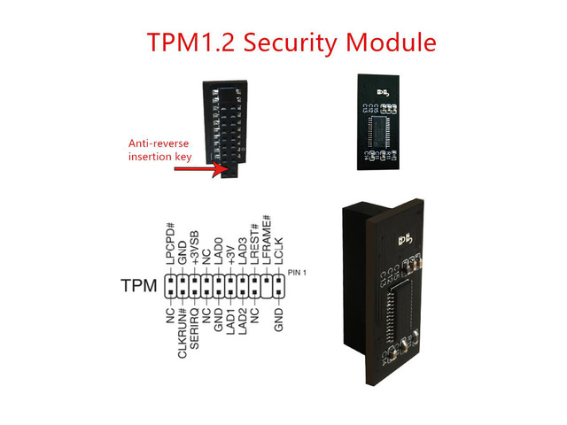TPM 1.2 Security Module Board LPC 20 Pin Motherboards Card For ASUS For Gigabyte
