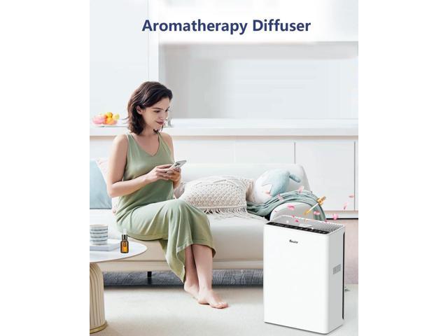 Air Purifiers For Home Large Room Up To 2200 sqft H13 HEPA Air Purifiers Filter With Fragrance Sponge Timer Washable Filter Cover,15 DB Quiet Air...