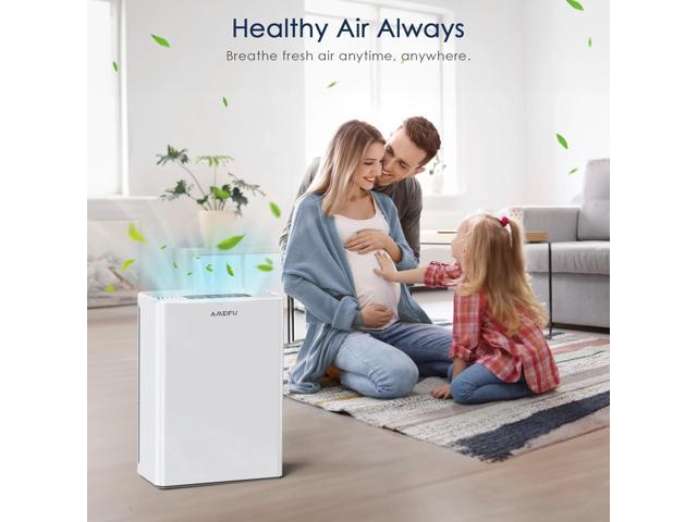 Air Purifiers for Home Large Room up to 2300sq. ft, H13 True Hepa Air Purifiers for Pets Hair, Dander, Smoke, Pollen, 3 Fan Speeds, 5 Timer Air Cleaner