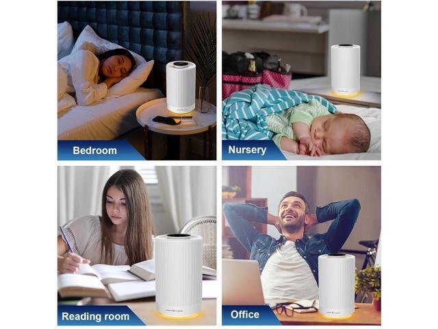 Air Purifiers for Home bedroom, True HEPA 13 Coverage 450 sqft, 23 dB Air cleaner with Brushless Motor, Effectively Remove Pollen Dust and Odor to...