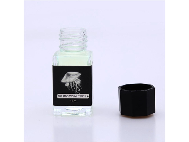 B2RD 18ml Non-Carbon Invisible Ink For Fountain Glass Dip Pen