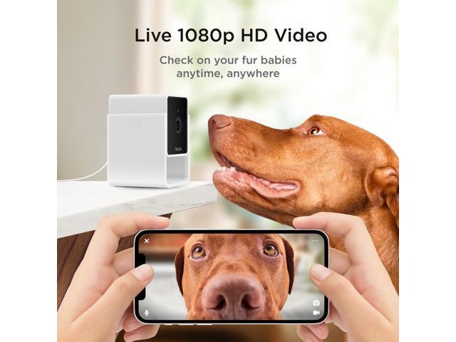 Petcube Cam The Pack of 2 Indoor Wi-Fi Pet Security Camera with Phone App, 2-Way Audio and Video, Night Vision, 1080p HD Video and Smart Alerts