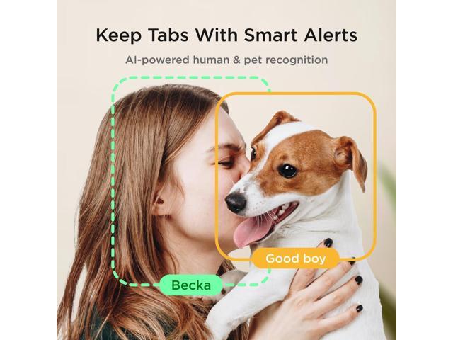 Petcube Cam The Pack of 2 Indoor Wi-Fi Pet Security Camera with Phone App, 2-Way Audio and Video, Night Vision, 1080p HD Video and Smart Alerts