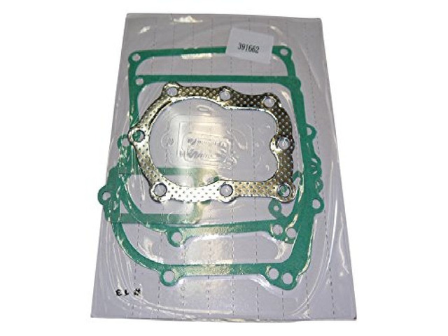 Gasket Kit For Briggs & Stratton 391662 B & S 4HP 110900 111900