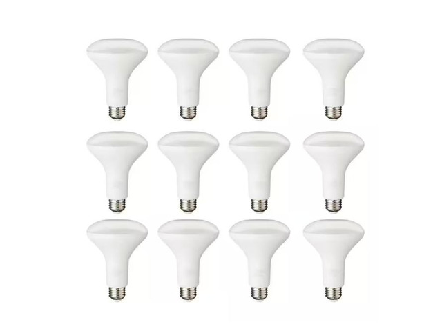 PRIVATE BRAND 65-Watt Equivalent BR30 Dimmable Flood LED Light Bulb Soft White (12-Pack) # 1008636788 # A20BR3065WULD12