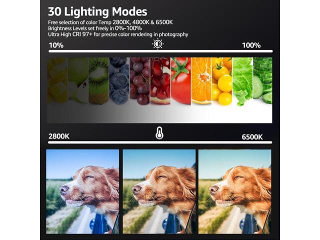 2-Pack LED Video Light Kit, NiceVeedi Studio Light, 2800-6500K Dimmable Photography Lighting Kit with Tripod Stand & Phone Holder, 73' Stream Light...