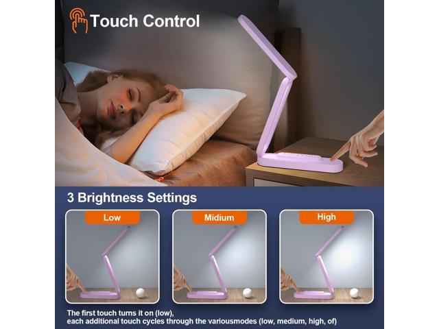 LED Desk Lamp for Office Home & Battery Operated Lamp Rechargeable Lamp Foldable & Portable Light, LED Desk Light Strip, 3 Brightness Dimmable...