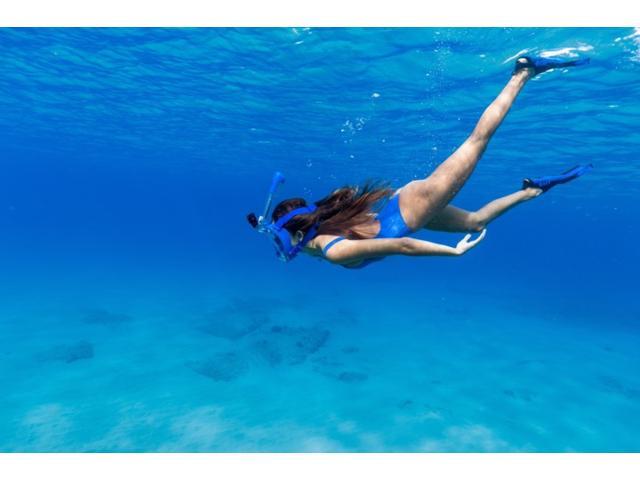Adult Aire Free Breathing Swimming Diving Snorkel Mask with GoPro Mount (Blue)