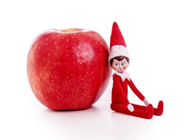 World's Smallest The Elf On The Shelf (Fully Articulated)