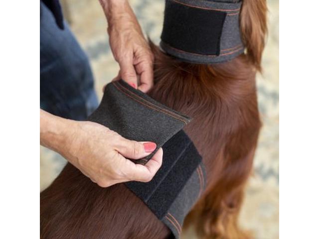 Calmer Canine Convenience Vest Only Medium