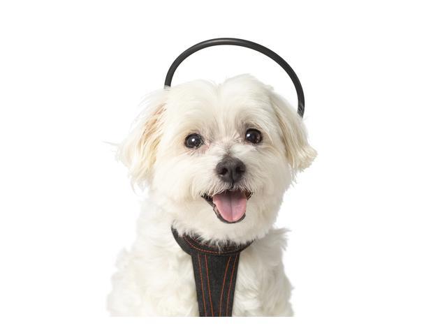 Calmer Canine Anxiety Treatment System Bundle