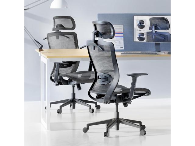 FLEXISPOT Ergonomic Office Chair, High Back Mesh Swivel Computer Chair, Executive Office Desk Chairs, with Adjustable Lumbar Support/2D...