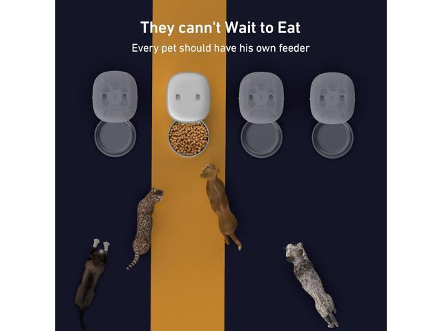 Automatic Cat Feeder - 2L Cat Food Dispenser, Timed Auto Pet Feeder with 180-day Battery Life, 1-6 Meals Per Day, 1-16 Portion, Desiccant Bag Keeps...