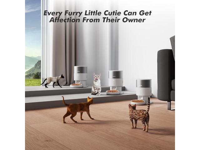 Automatic Cat Feeder - 5G WiFi Cat Food Dispenser with Stainless Steel Food Storage, 1-6 Meals Per Day, 1-16 Portion, Voice Recording, Auto Pet...