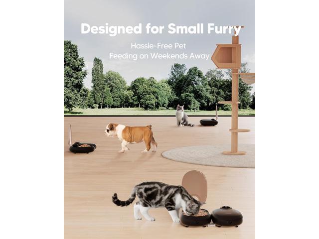 Automatic Cat Feeder,48-Hour Timer Cat Bowl with Ice Gel Pack Refrigeration Function,Perfect for Small Dogs & Cats,Can and Wet Food Feeding,Black