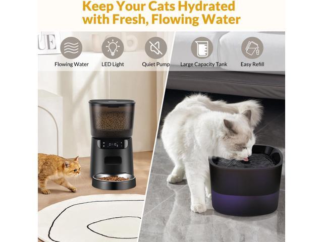 Automatic Cat Feeder and Water Fountain, 4L/16 Cups Automatic Cat Food Dispenser,10s Meal Call and Timer Setting 20 Portions 6 Meals Per Day,Pet...