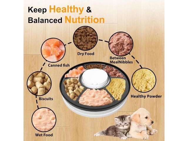 Automatic Cat Feeder Wet Food/Dry Food, 6 Meal Timed Pet Feeder Easily Programmable &Easy to Clean, Auto Feeder for Cats/Small Dogs