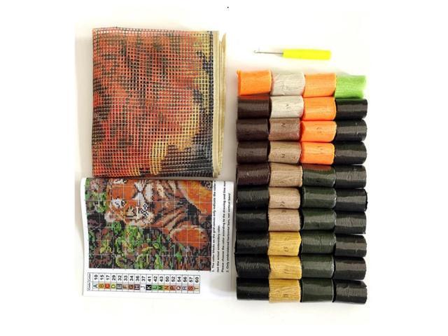 Rug Making Latch Hooking Kit Aurora (52x38cm printed canvas)