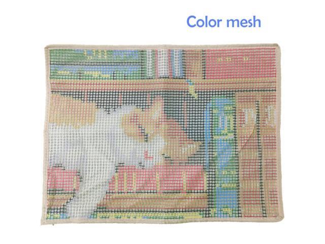 Rug Making Latch Hooking Kit Aurora (52x38cm printed canvas)