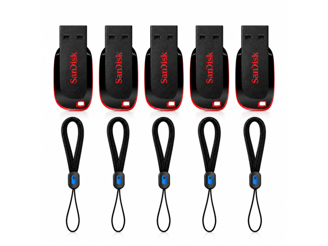 SanDisk 5-Pack USB Flash Drives with 5 Wrist Lanyards
