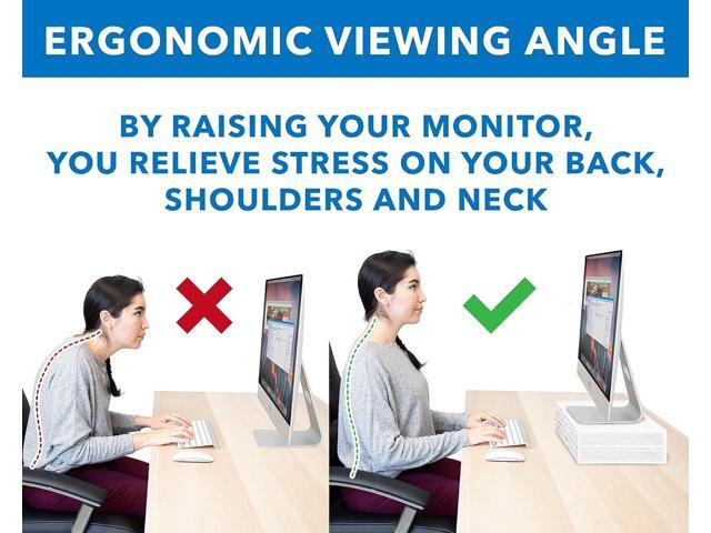 Mount-It! Mesh Computer Monitor Stand Riser [Metal] Desk Organizer with Two Pullout Storage Drawers for Desktop, Laptop, and Printer Accessories...