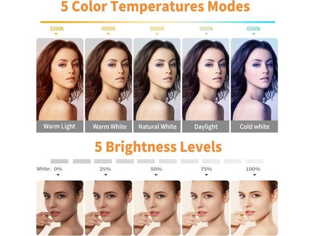 Video Conference Lighting Kit, Ring Light Clip on Laptop Monitor with 5 Dimmable Color & 5 Brightness Level for Webcam Lighting/Zoom...