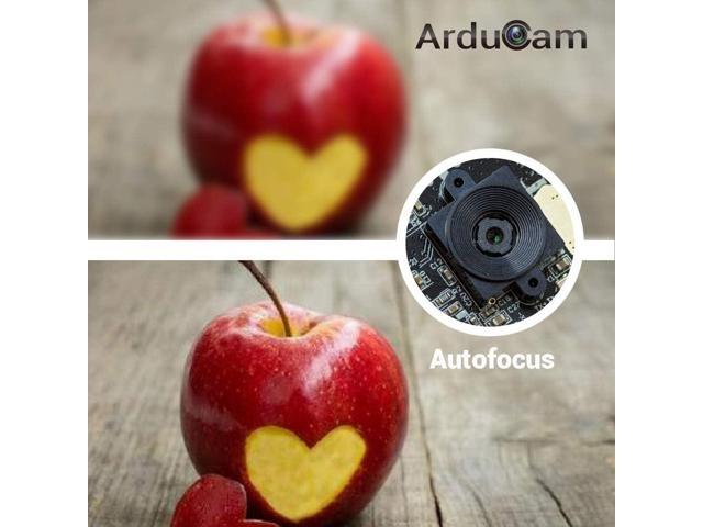 Arducam 8MP 1080P Auto Focus USB Camera Module for Computer with Metal Case, 1/3.2 IMX179 Lightburn Camera USB2.0 Webcam, USB Security Camera with...