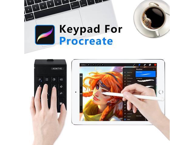 Keyboard for Procreate, Procreate Accessories for iPad/Tablet/Laptop/Smartphone,etc, Procreate Keyboard-5.8 x 3.8 in (2nd Generation Black)