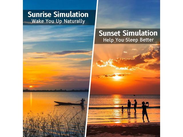 Wake Up Light Sunrise Alarm Clock with Sunrise Sunset Simulation 23 Nature Sleep Sounds 13 Colors Night Light Dual Alarms Snooze Function Sleep Aid...