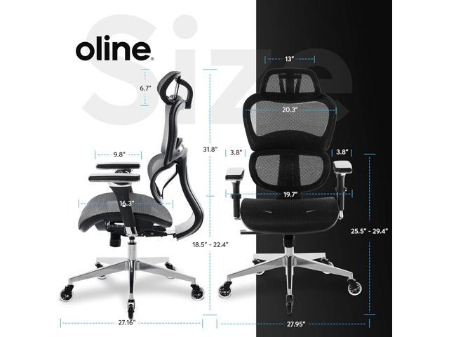 Oline ErgoPro Ergonomic Office Chair, Rolling Desk Chair with 4D Adjustable Armrest, 3D Lumbar Support, Blade Wheels, Mesh Computer Gaming...